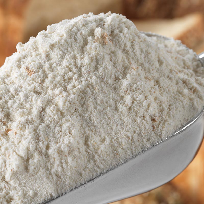 Whole Wheat Flour (5lbs)